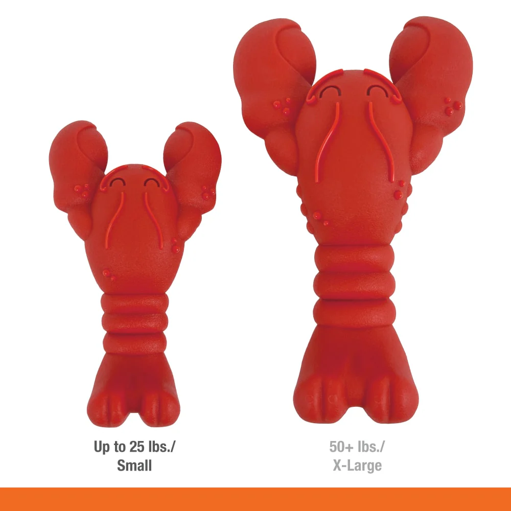 Nylabone Power Chew Lobster Dog Toy, Small - for Dogs up to 25lbs - Image 3