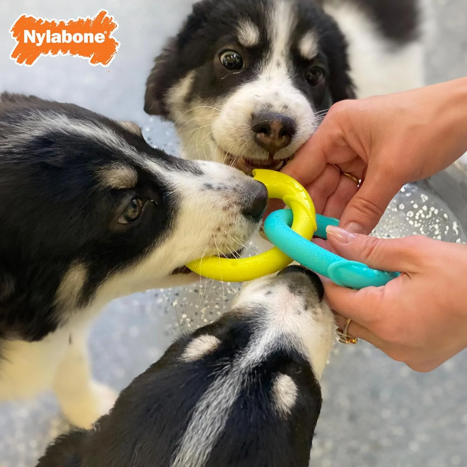 Nylabone Power Play Puppy Tug-a-Ball Dog Toy - Image 5