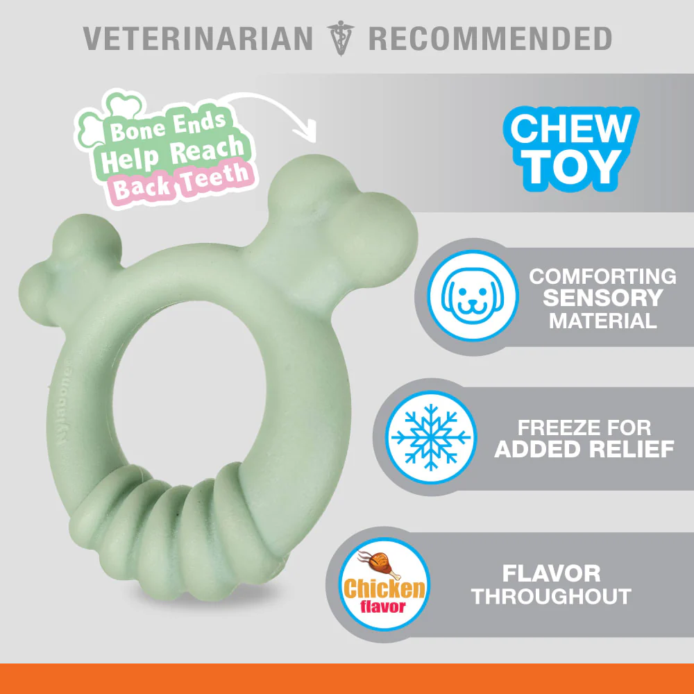 Nylabone Sensory Material Puppy Teething Ring Dog Toy - Image 3