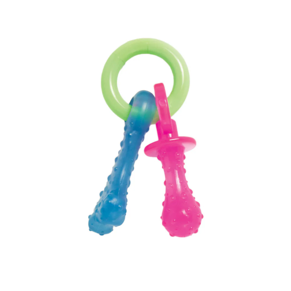 Nylabone Puppy Chew Teething Pacifier Dog Toy - Image 2