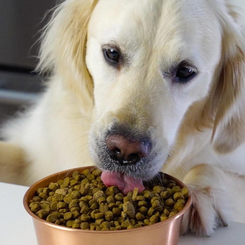 Open Farm Grass-Fed Beef Grain Free Dry Dog Food - Image 2
