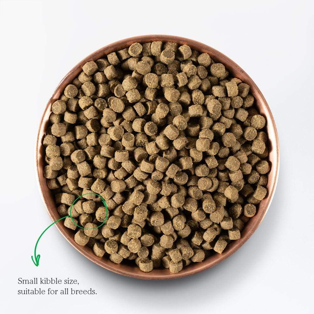 Open Farm Pasture-Raised Lamb Grain Free Dry Dog Food - Image 3