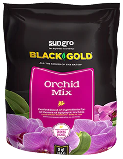 Black Gold Orchid Mix