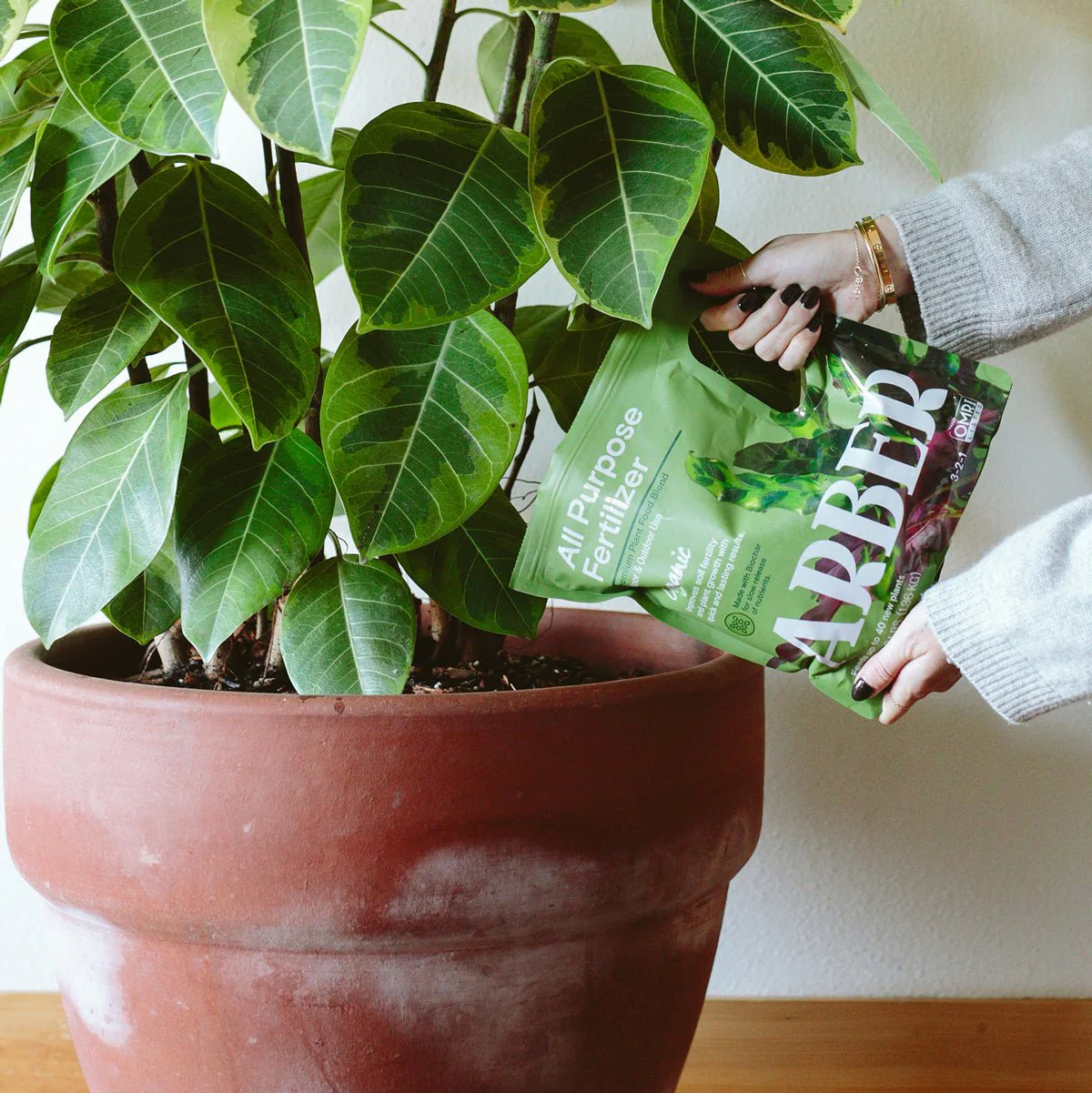 Organic All Purpose Fertilizer - Image 4