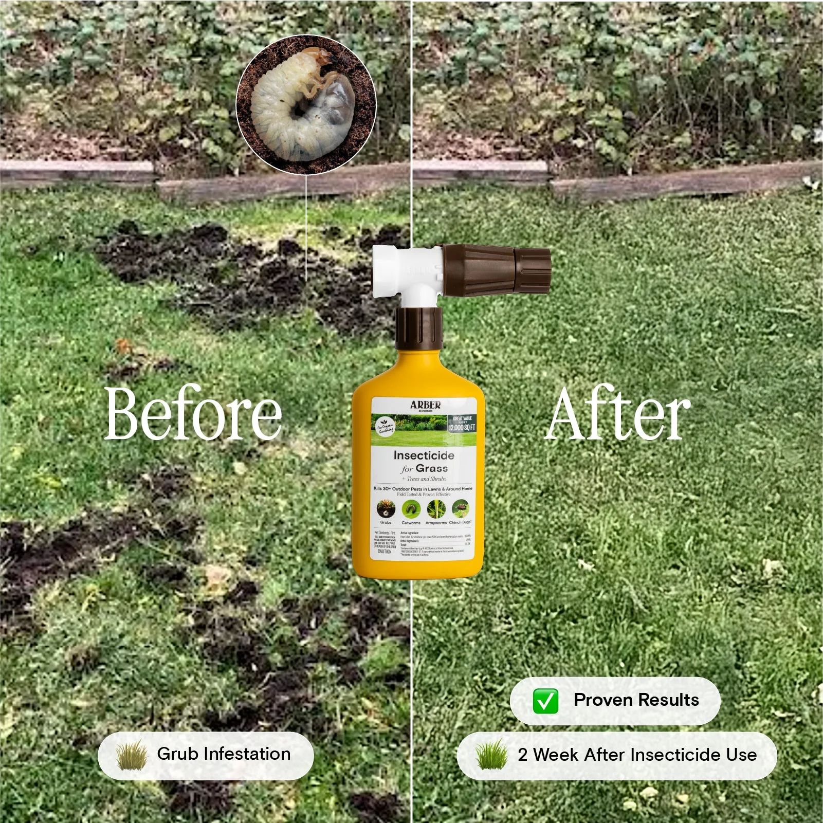 Organic Insecticide for Grass, Trees & Shrubs - Image 4