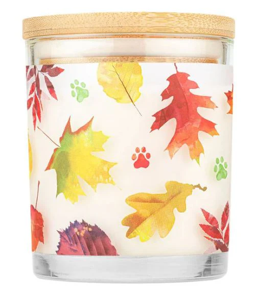 Pet House Candle, Falling Leaves 9oz - Image 3