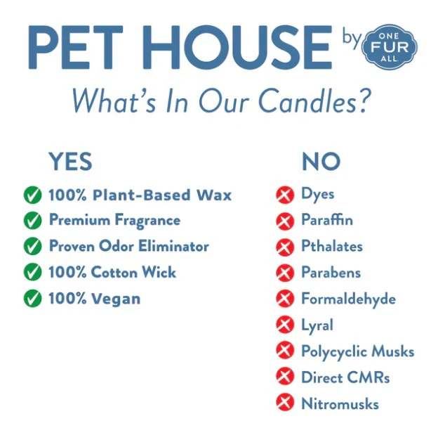 Pet House Candles Pumpkin Spice Mini Candle 1.5oz - Image 3