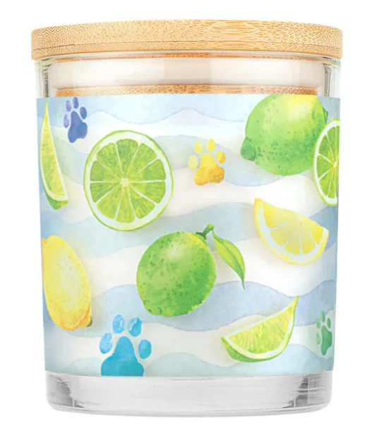 Pet House Candle, Sea Salt & Citrus, 9oz - Image 3