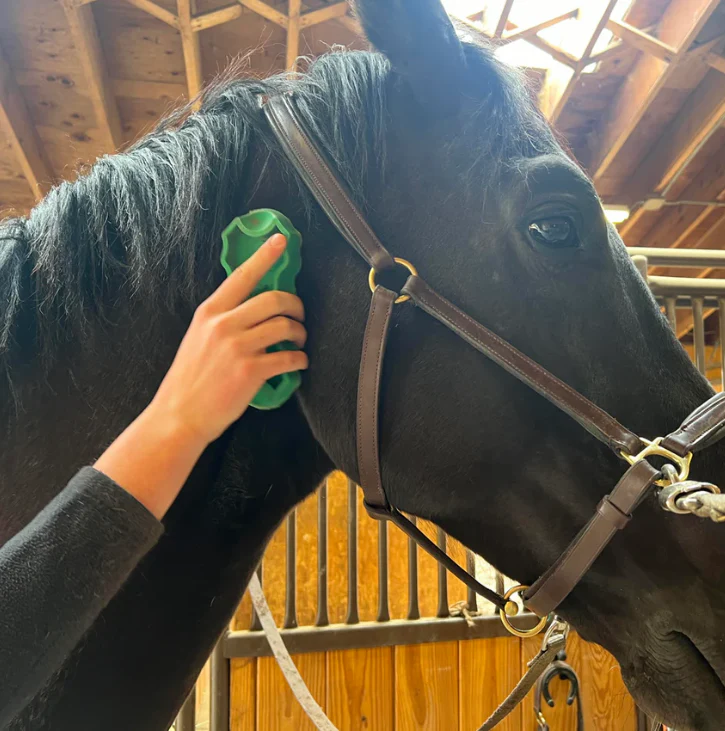 PetKORE GroomBug: The Ultimate Grooming Brush for Horses - Image 5