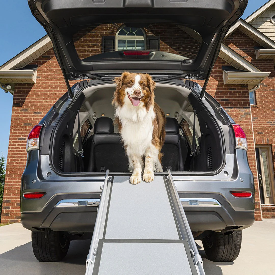 Petsafe Happy Ride™ Telescoping Dog Ramp - Image 3