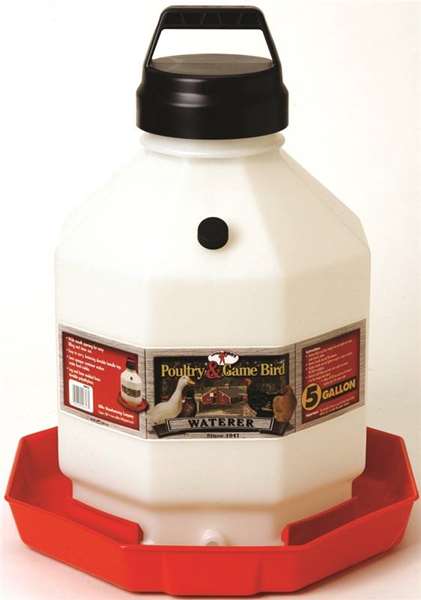 Plastic Poultry Waterer - 3 sizes available - Image 2