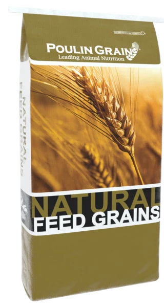 Poulin Grain Soybean Meal 48%, 50 lb