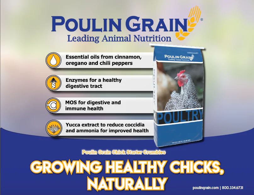 Poulin Grain Chick Starter Crumbles - Image 2