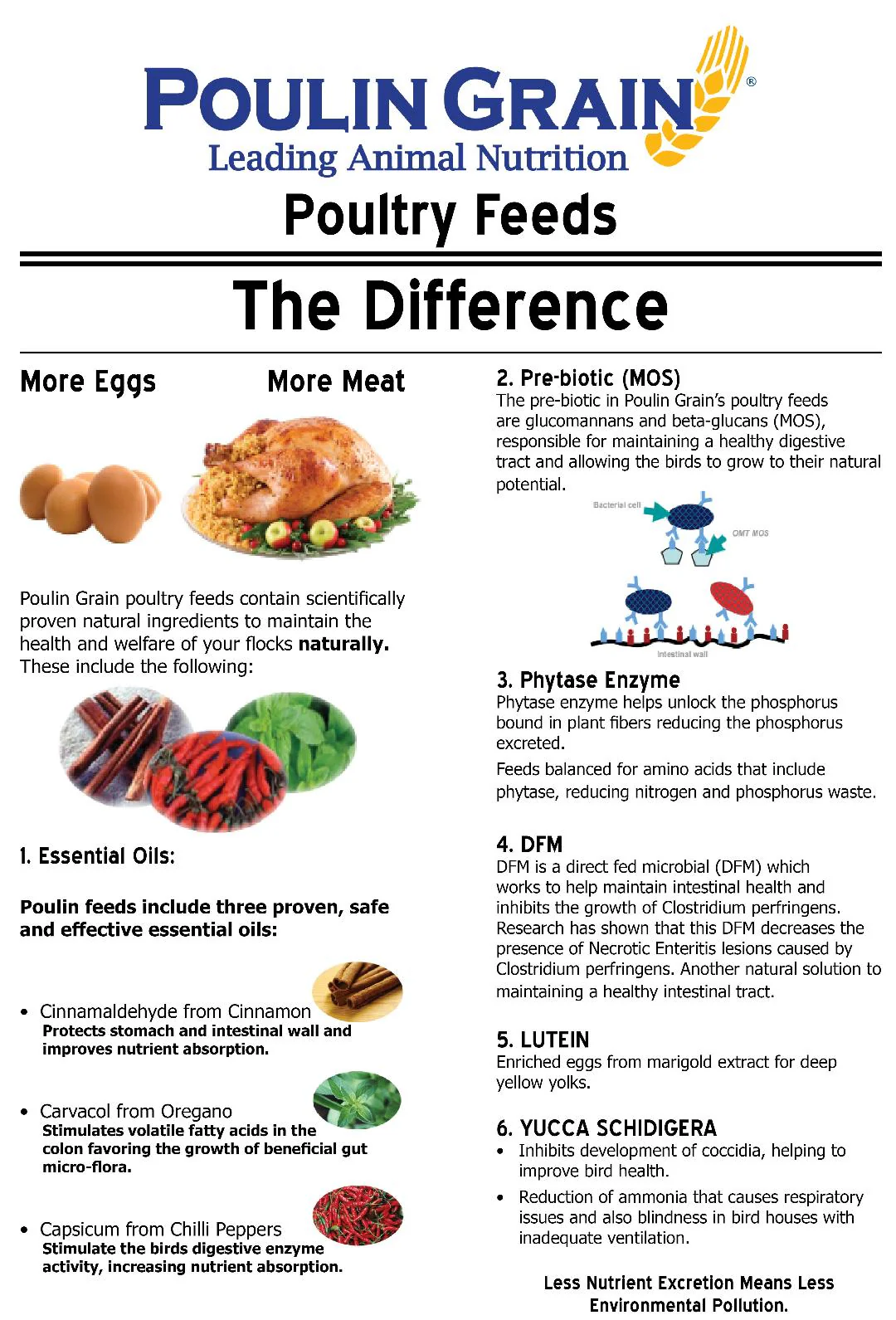 Poulin Grain Egg Production Plus Crumbles (Soy Free) - Image 3