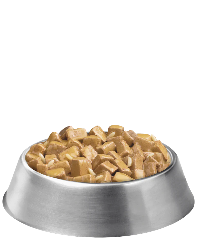 Purina Pro Plan Adult Large Breed Chicken & Rice Entrée Chunks In Gravy Wet Dog Food, 13OZ - Image 2