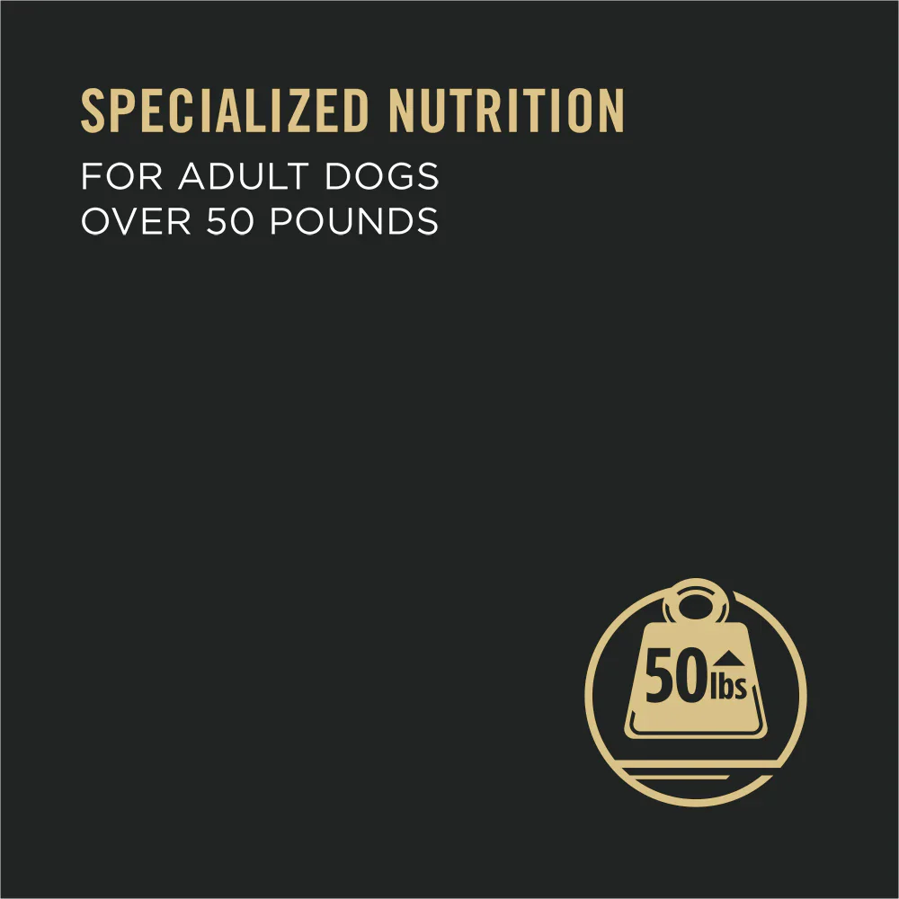 Purina Pro Plan Adult Large Breed Chicken & Rice Entrée Chunks In Gravy Wet Dog Food, 13OZ - Image 4