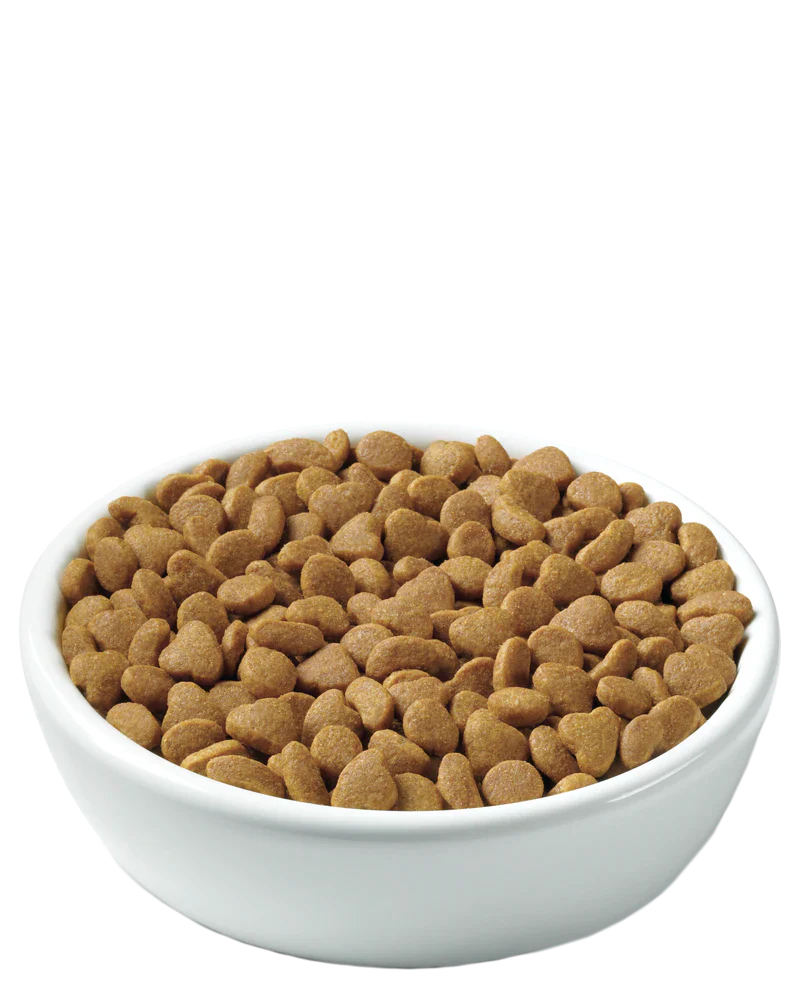 Purina Pro Plan Adult Indoor Salmon & Rice Formula Cat Food, 7lb - Image 2