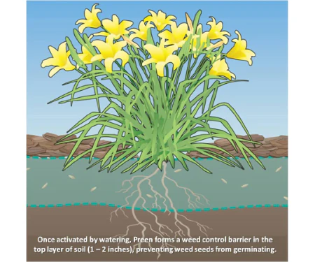 Preen Garden Weed Prevention - Image 4