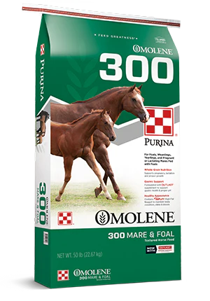 Purina Omolene 300 Growth Mare & Foal Horse Feed