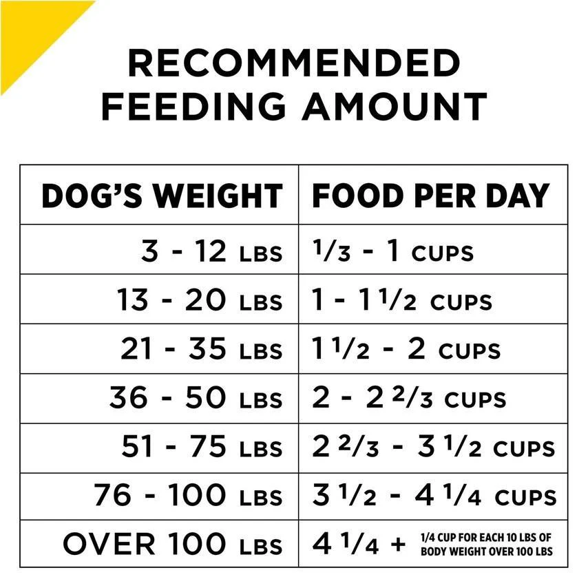 Purina Pro Plan Bright Mind Adult 7 + Chicken & Rice Formula Dry Dog Food - Image 4