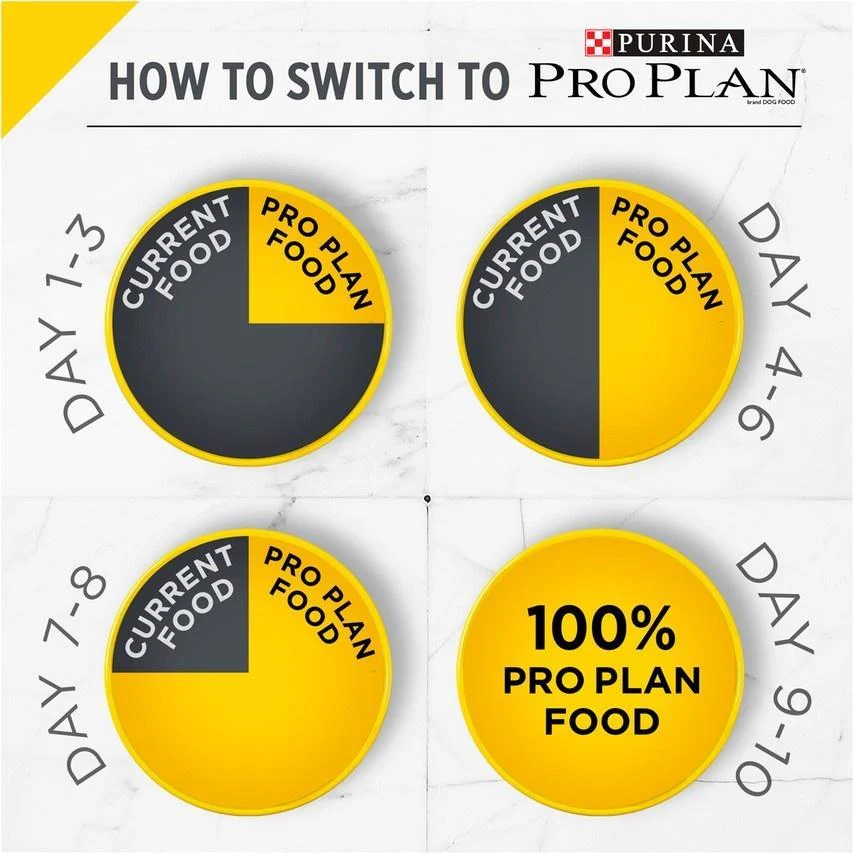 Purina Pro Plan Bright Mind Adult 7 + Chicken & Rice Formula Dry Dog Food - Image 7