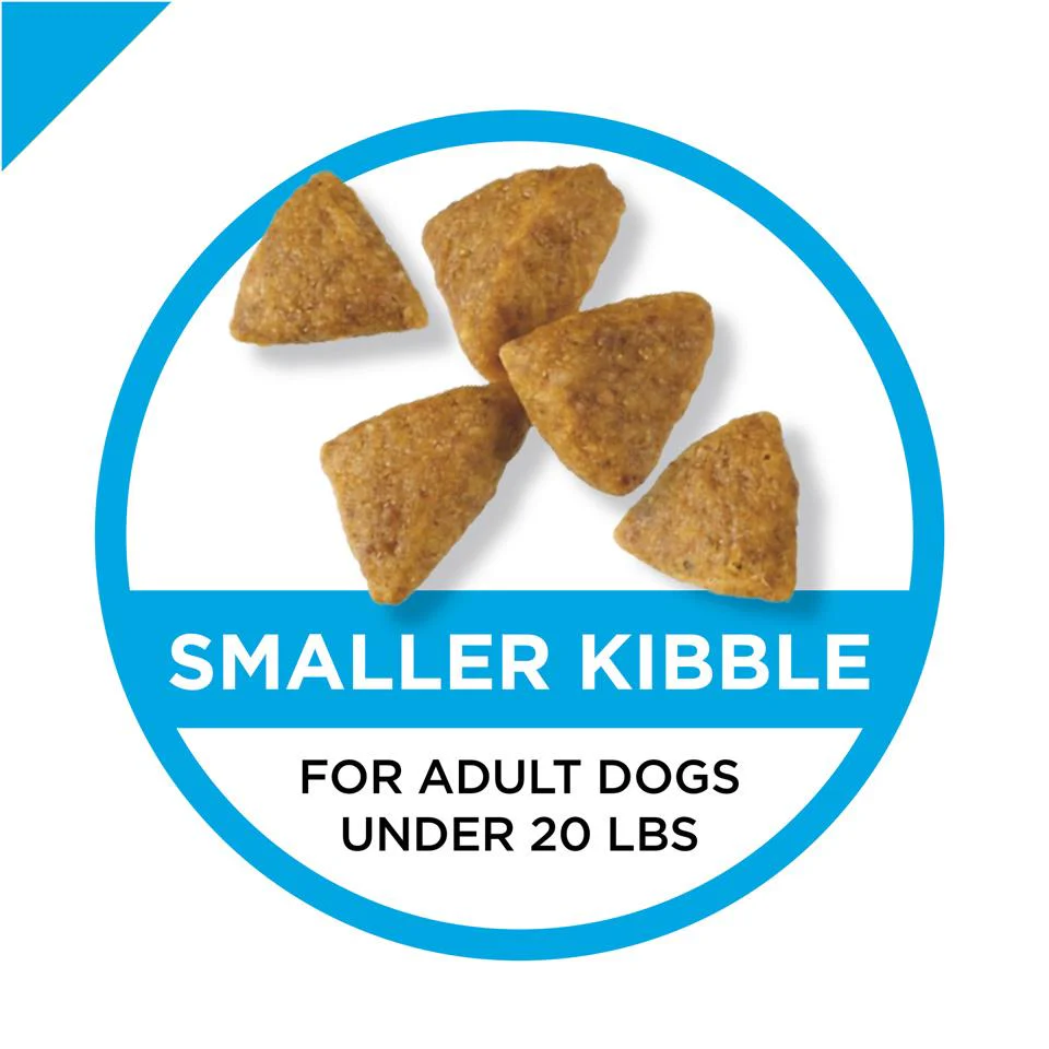 Purina Pro Plan Chicken & Rice Formula Adult Small & Toy Breed Dry Dog Food - Image 4