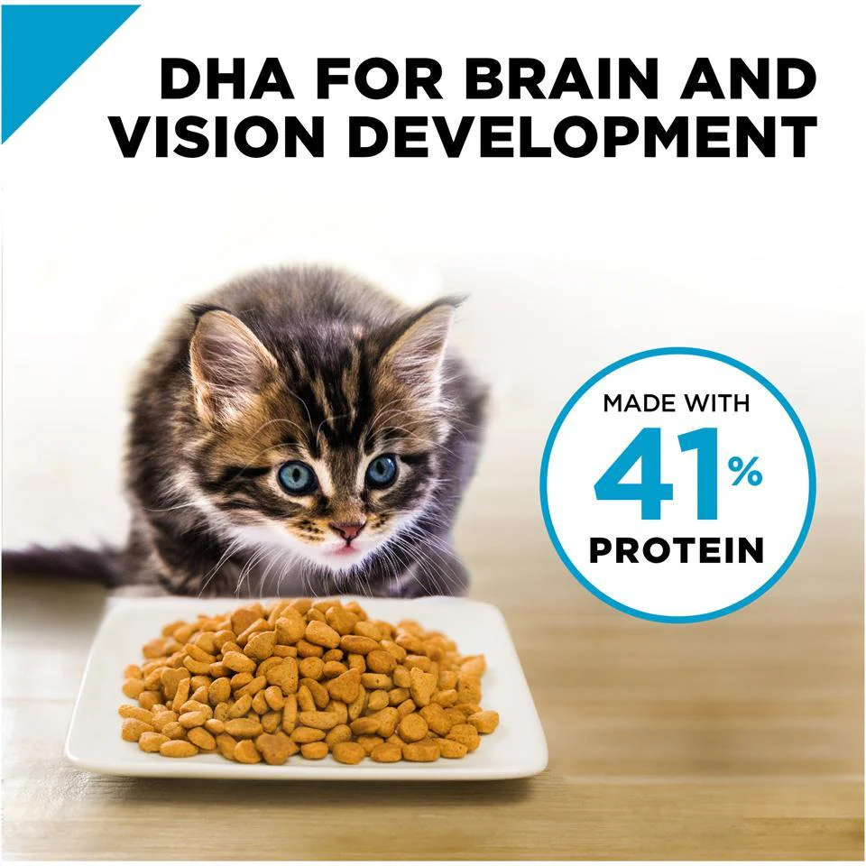 Purina Pro Plan Focus Chicken & Rice Formula Kitten Dry Cat Food - Image 4