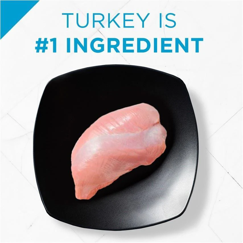 Purina Pro Plan Focus Indoor Care Turkey & Rice Formula Dry Cat Food - Image 3
