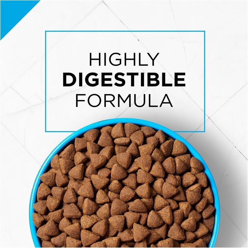 Purina Pro Plan Sensitive Skin & Stomach Formula Lamb & Oat Meal Formula Dry Dog Food - Image 5