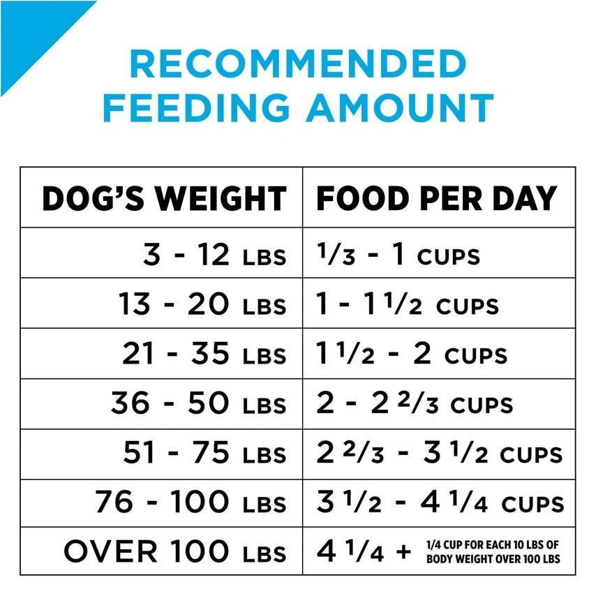 Purina Pro Plan Sensitive Skin & Stomach Formula Salmon & Rice Formula Dry Dog Food - Image 4