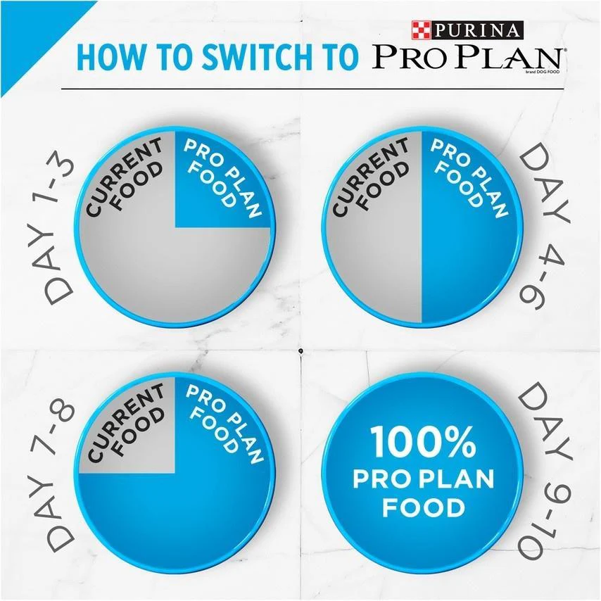 Purina Pro Plan Sensitive Skin & Stomach Formula Salmon & Rice Formula Dry Dog Food - Image 7