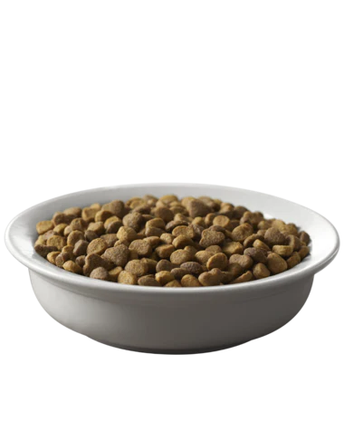 Purina Pro Plan Savor Salmon & Rice Formula Adult Dry Cat Food - Image 2