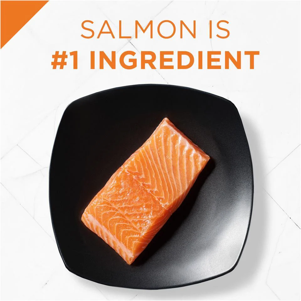 Purina Pro Plan Savor Salmon & Rice Formula Adult Dry Cat Food - Image 3