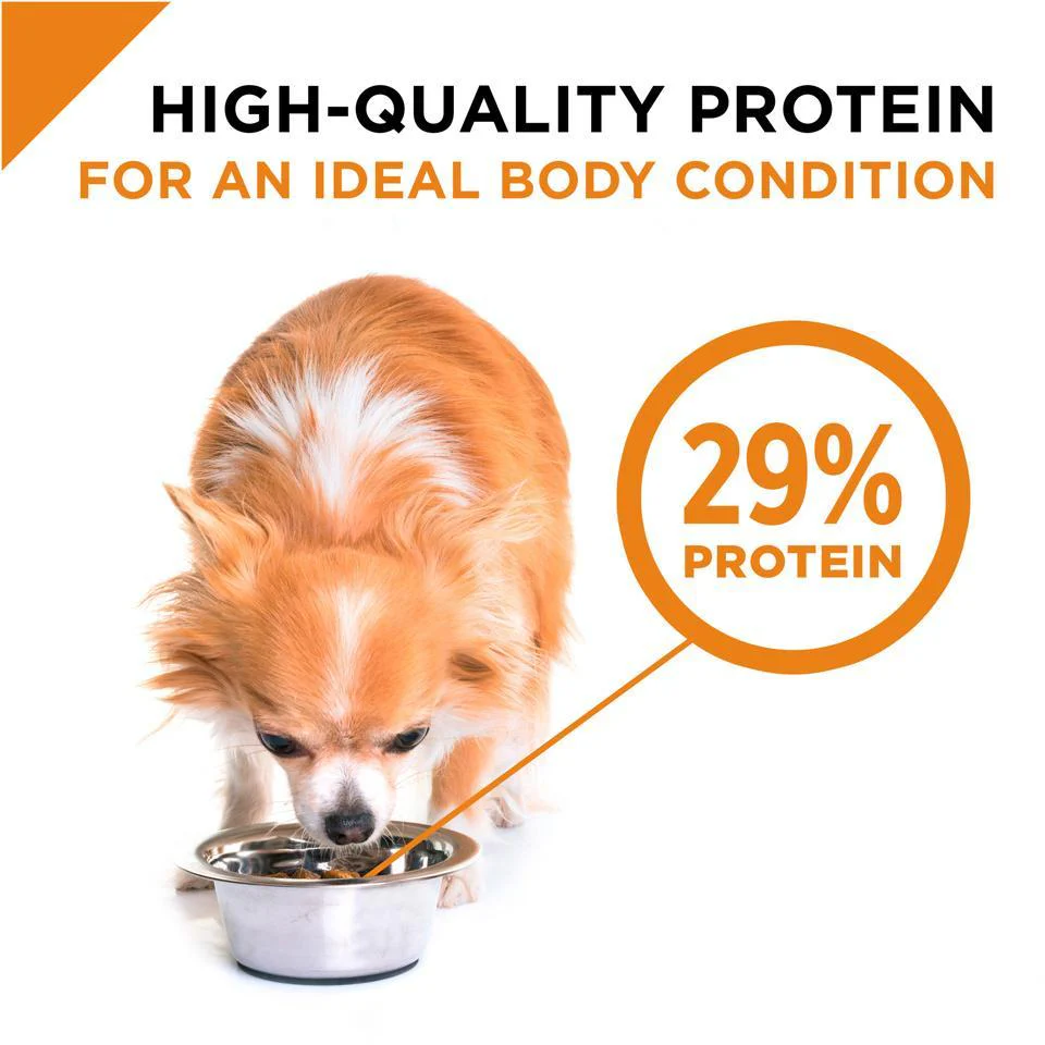 Purina Pro Plan Shredded Blend Chicken & Rice Formula Adult Small & Toy Breed Dry Dog Food - Image 4