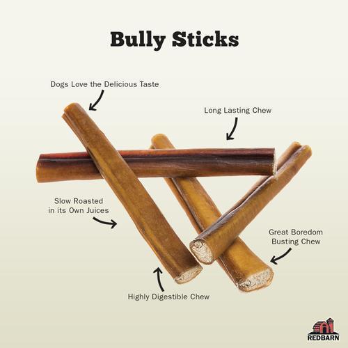 Redbarn Natural Odor Free Bully Stick, 12" - Image 3