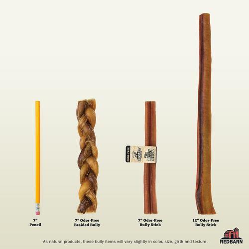 Redbarn Natural Odor Free Bully Stick, 12" - Image 4
