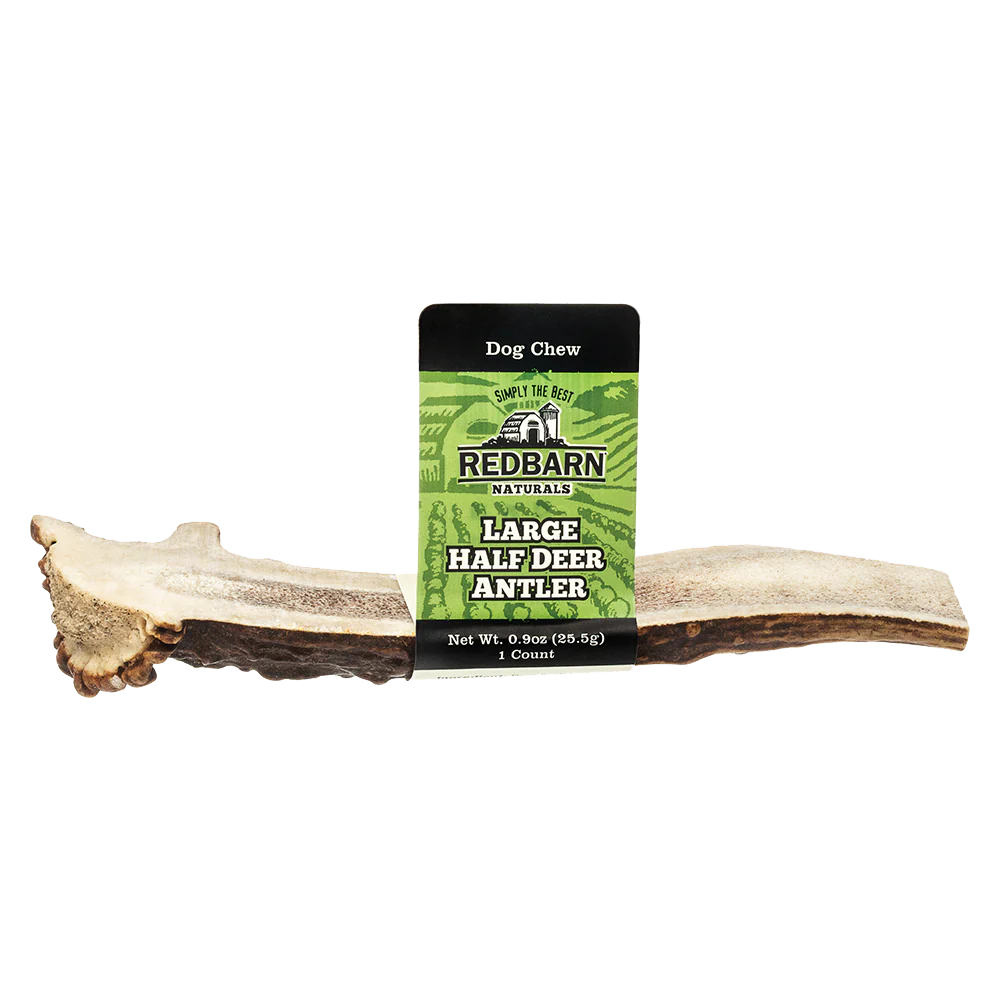 Redbarn Naturals Half Deer Antler - Image 3