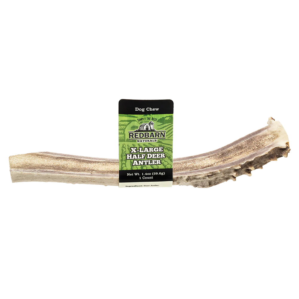 Redbarn Naturals Half Deer Antler - Image 4