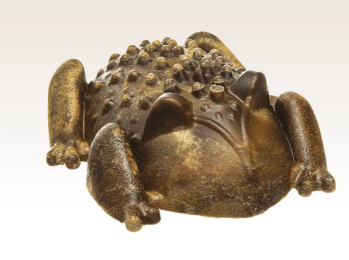 Redbarn Naturals Chew-A-Bulls® Horned Toad Dental Dog Treat - Large, 4" - Image 2