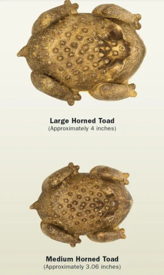 Redbarn Naturals Chew-A-Bulls® Horned Toad Dental Dog Treat - Large, 4" - Image 4