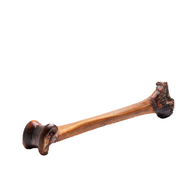 ROAM Slow Roast Forever Ostrich Bone, 1pk Dog Chew