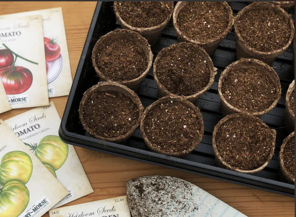 Seed Starting Tray 11in x 22in - Image 2