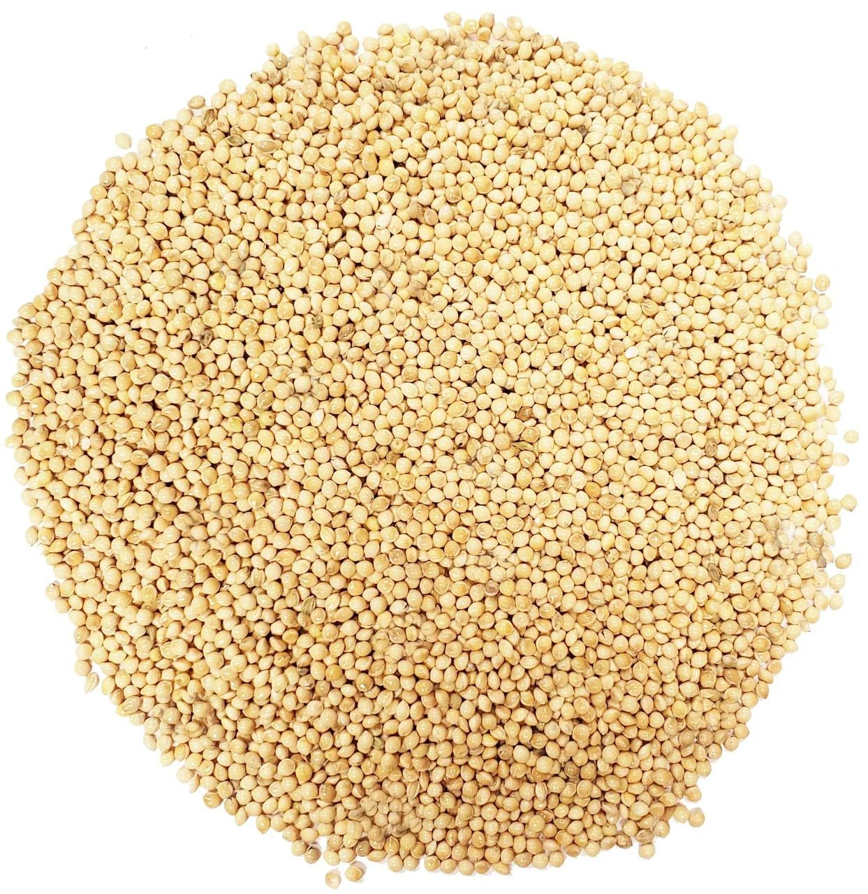Shafer White Millet, 50 lb