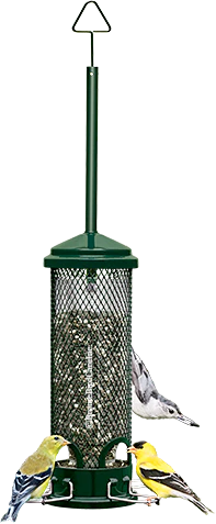 Squirrel Buster Mini