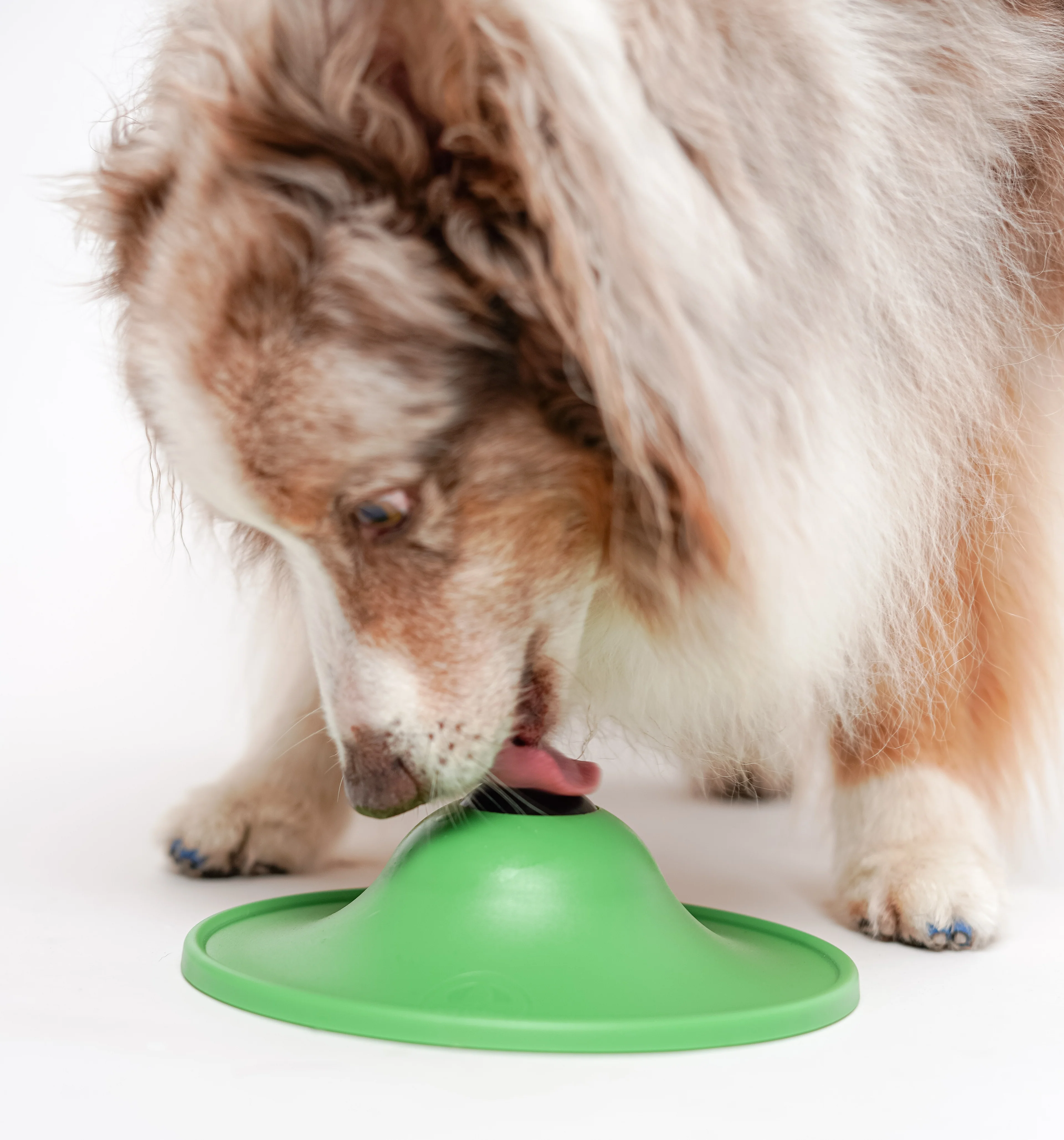Stashios Soothing Saucer™ Kit - Image 2