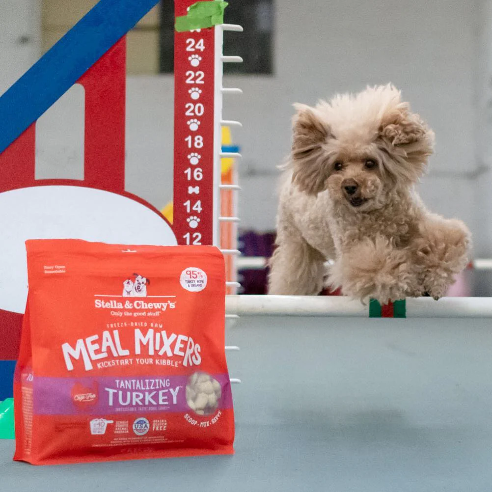 Stella & Chewy's Tantalizing Turkey Meal Mixers for Dogs - Image 3