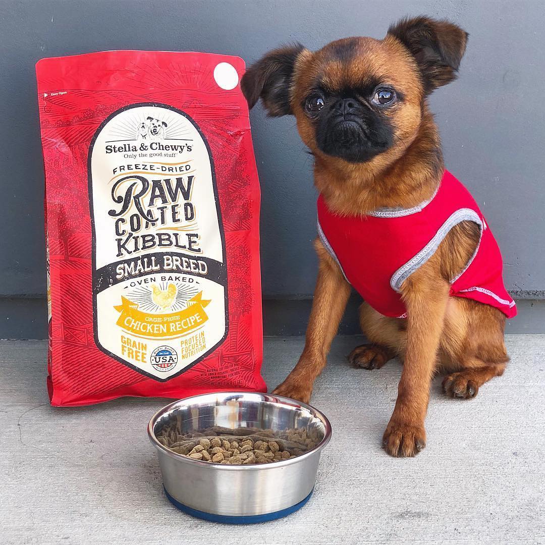 Stella & Chewy's Cage-Free Chicken Raw Coated Dog Kibble for Small Breeds - Image 4