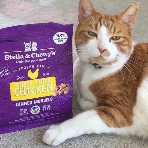 Stella & Chewy's Grain Free Chick Chick Chicken Dinner Morsels Freeze Dried Raw Cat Food - Image 6