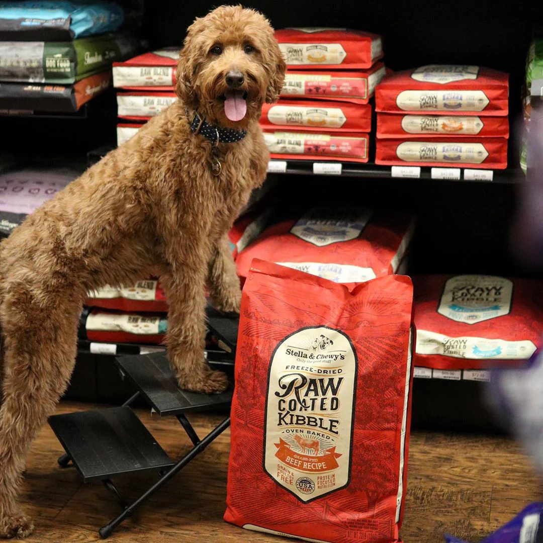 Stella & Chewy's Grass-Fed Beef Raw Coated Kibble - Image 4