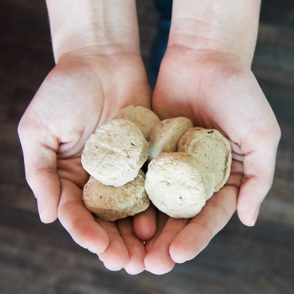Stella & Chewy's Perfectly Puppy Freeze Dried Raw Chicken and Salmon Dinner Patties Grain Free Dog Food - Image 3